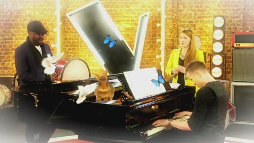 The Voice UK 2015 - BBC