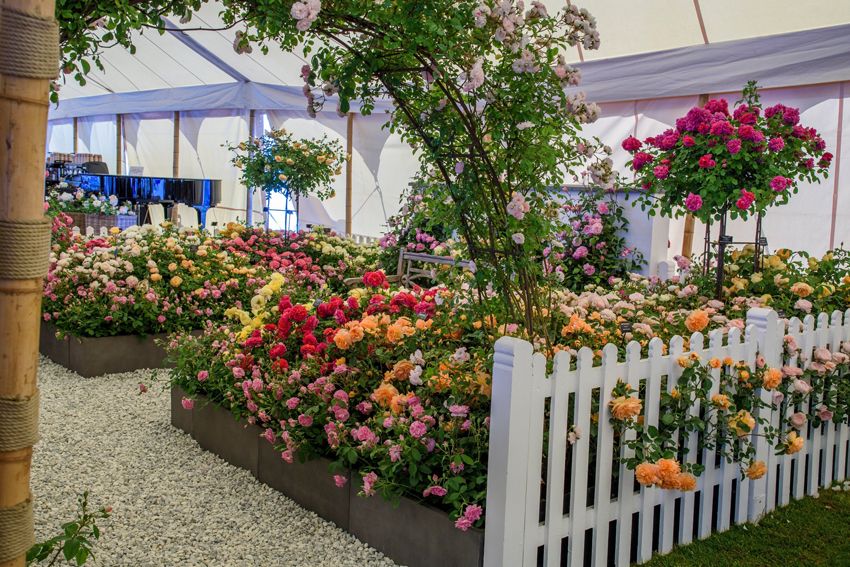 Hampton Court Palace Flower Festival