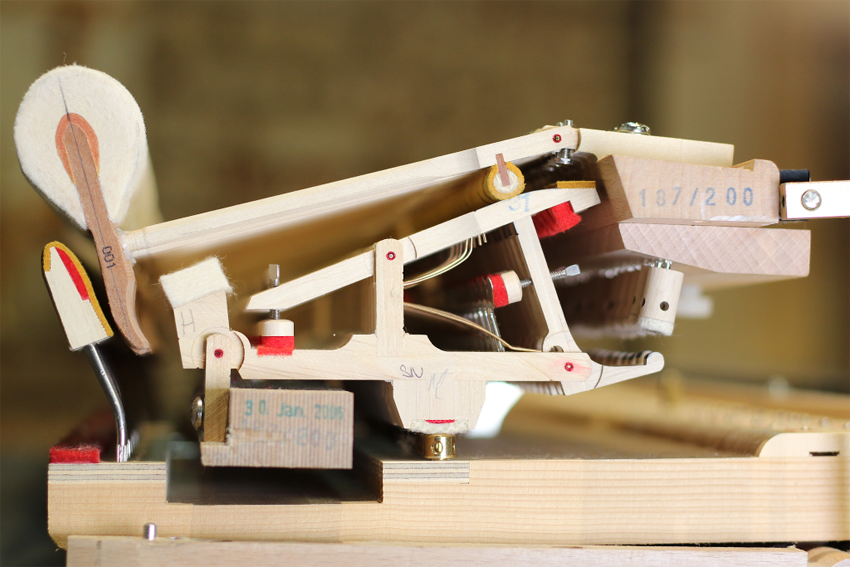 Schimmel in acoustic mode