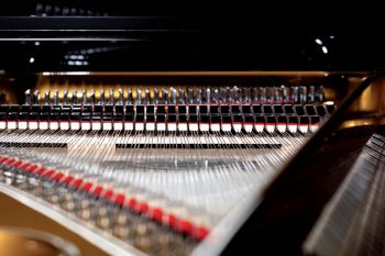 August Förster Detail August Förster Detail