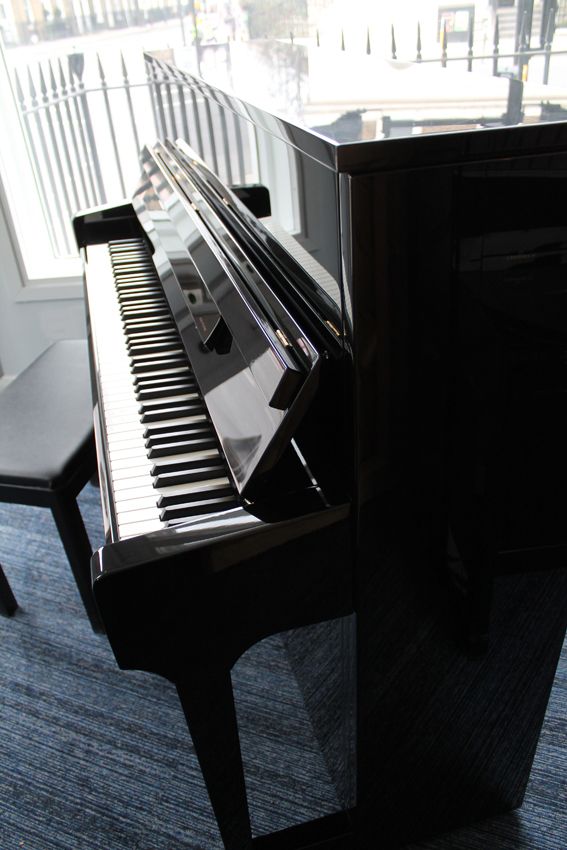 Schimmelw114t
